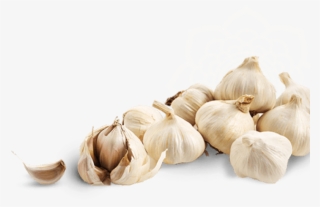 Free Png Garlic Image Png Images Transparent - سیر و سرطان #8993151