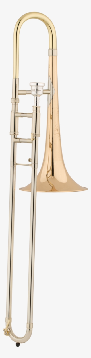 Tbaltgm-shires Medium Gold #8993668