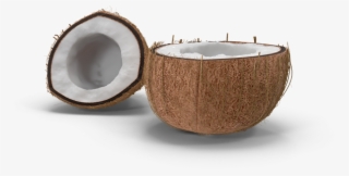 Why Coconut Oil - Teacup #8994780