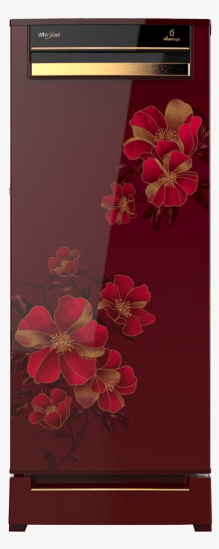 Picture Of Whirlpool Fridge 230 Vitamagic Royale 4s - 215 Vitamagic Pro Roy 4s Wine Electra #8995589