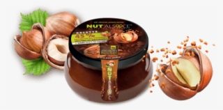 45 % Of Piemont Hazelnuts - Chestnut #8995719