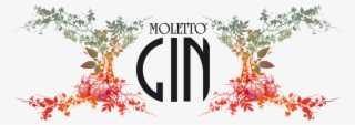 Moletto Gin #8996250