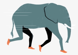 Elephant-home Clipart , Png Download - Indian Elephant #8997149