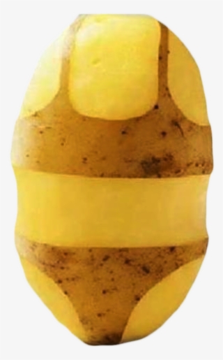 Long Live The Reign Of The Potato - Russet Burbank Potato #8997953