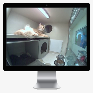 Mac Display Overlay Icats - Computer Monitor #8998975 Mac Display Overlay Icats - Computer Monitor #8998975