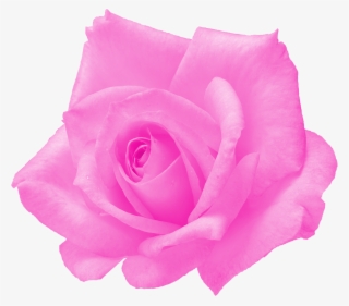 Free Download - Floribunda #8999354