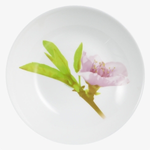 Soup Plate - Water Color Тарелки #90016