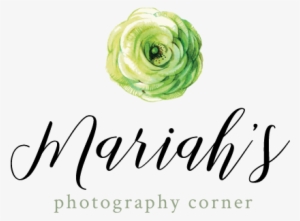 Delicate Watercolor Flower - Garden Roses #90073