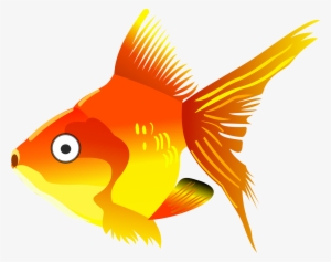 This Free Icons Png Design Of Cartoon Goldfish #90230