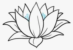 Pictures Of Flowers To Draw Easy