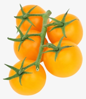 Yellow Tomato Png #90730