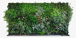 Created To Make You Feel Positively Better - Superpitcher Golden Ravedays 6 Lp #90737