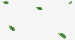 Falling Green Leaves Png - Leaf #90739