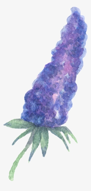 Hand Painted Purple Plant Flower Watercolor Transparent - Watercolor Painting #90865