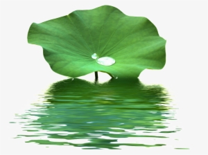 This Product Design Is Lotus Leaf Water Wave Texture - Lotus Leaf Png #90890