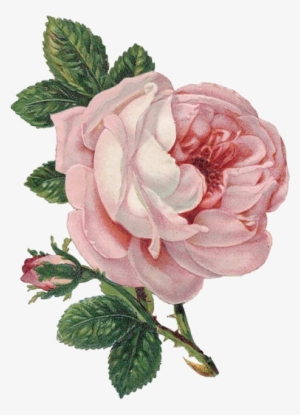 Transparent Flower For Your Tumblr - Flower Png #91007