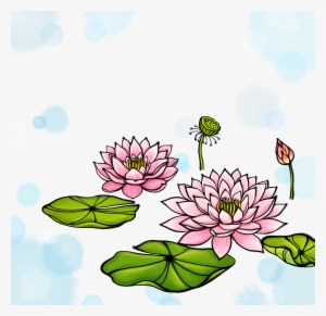 Nelumbo Nucifera Watercolor Painting - 荷花 卡通 #91627