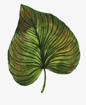 Hand-painted Green Leaves Png Transparent Material - Green #91673