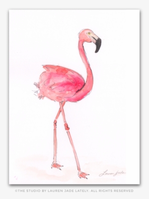 Flamingo Watercolor Illustration The Studio By Lauren - Watercolor Painting #91675