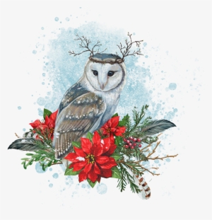 Seasonal Illustrations For Packaging And Merchandising - Barn Owl #91929