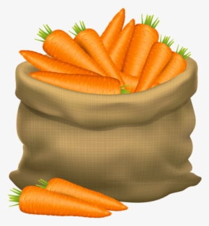 Frutas E Legumes - Basket Of Carrot Cartoon #92032