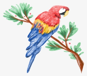 Amazon Parrot Watercolor Painting Illustration - Parrot Watercolor #92077