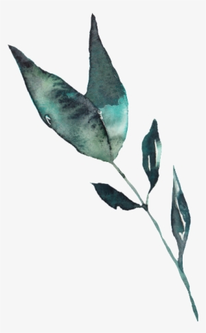 This Graphics Is Creative Leaves, Ink Painting, Transparent, - Illustration #92383