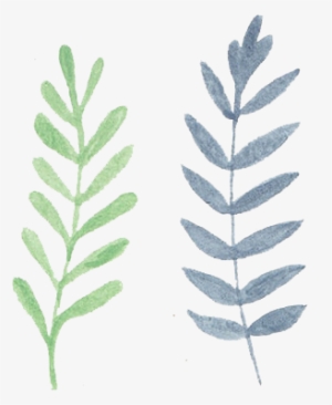 Free Watercolor Poppy Flower Pattern - Poppy #92844