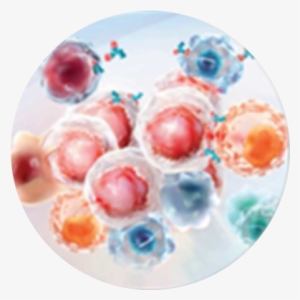 Immuno-oncology - Palette #93548