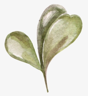 Hand Painted Three Pieces Of Fleshy Transparent Png - Leaf #93574