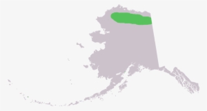 Clip Royalty Free Stock Alaska Vector Watercolor - Alaska Map Black And White #93704