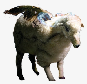 Wingedsheep Sheep Infinityonhigh Falloutboy Fob - Fall Out Boy Infinity On High #93771