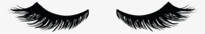 Svg Transparent Stock Lashes Png Mazken Misencil Lash - Lash Clipart #93798