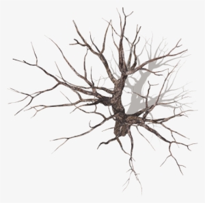 Go To Image - Tree #94154