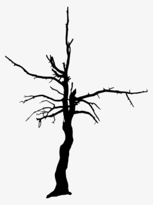 Free Png Dead Tree Silhouette Png Images Transparent - Dry Tree Silhouettes Png #95174 Free Png Dead Tree Silhouette Png Images Transparent - Dry Tree Silhouettes Png #95174