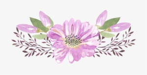 Watercolor Fresh Hand Painted Flowers Free Buckle - African Daisy #95401