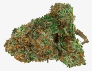 Png Photo, Cannabis - Moss #95402