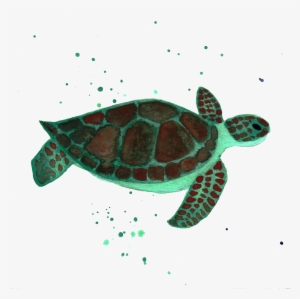 Sea Turtle By Chrystal Elizabeth - Kemp's Ridley Sea Turtle #95424