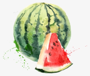Watermelon 1466*1250 Transprent Png Free Download - Water Colour Fruit And Vege #95442