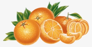 Oranges Png Image - Orange Png #95467