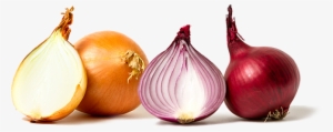 More To Still Life Than Onions - Onion For Hair Growth In Urdu #95516
