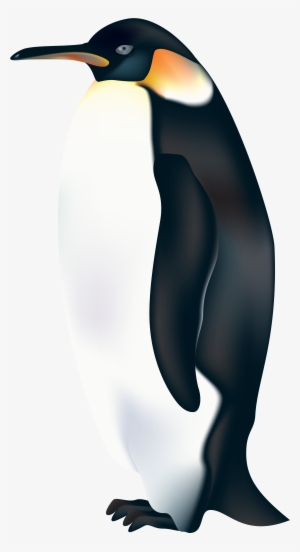Penguin Png Clip Art - Emperor Penguin Clipart #95733