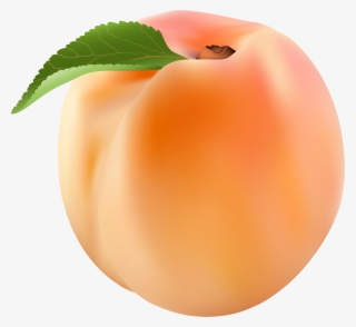 Peach Png Clip Art Image - Transparent Background Peach Clipart #95801