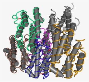 Interferon Alpha 2b #95802