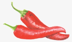 File - 辣椒cayennepepper - Capsicum #96027