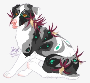 Spider Orchid Aussie Pup - Brassia #96355