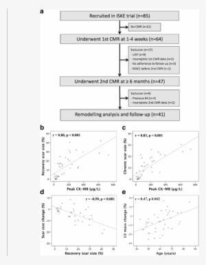 Correlation Of Peak Ck-mb With Recovery And Chronic - Document #96512