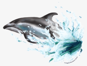 White Sided Dolphin Png #96871