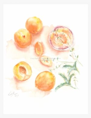 Cherry Tomatoes #97360