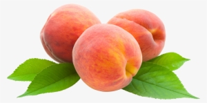 Peaches - Peach Png #97386
